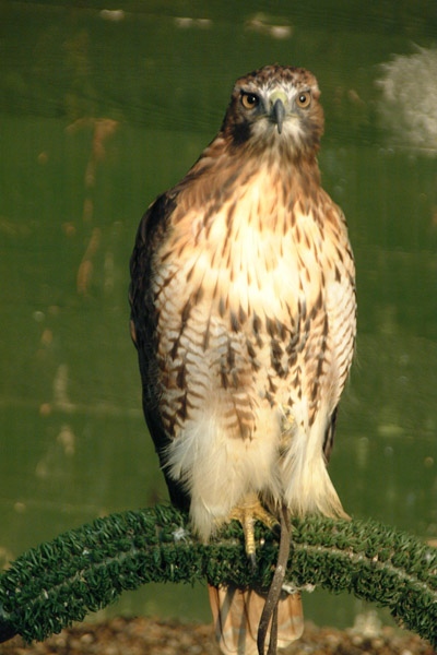 Okno zavřít kliknutím na obrázek
